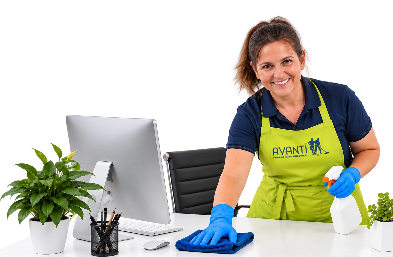 Professionele schoonmaak